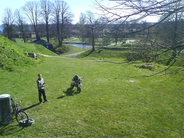 Shineray Motard Solgt billede 17