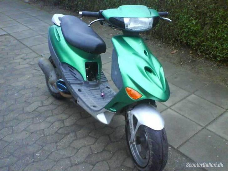 Adly Silverfox  billede 1
