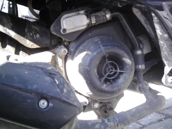 Piaggio typhoon før solgt billede 12