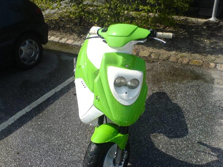 PGO hot 50 (Trunte) solgt  billede 9