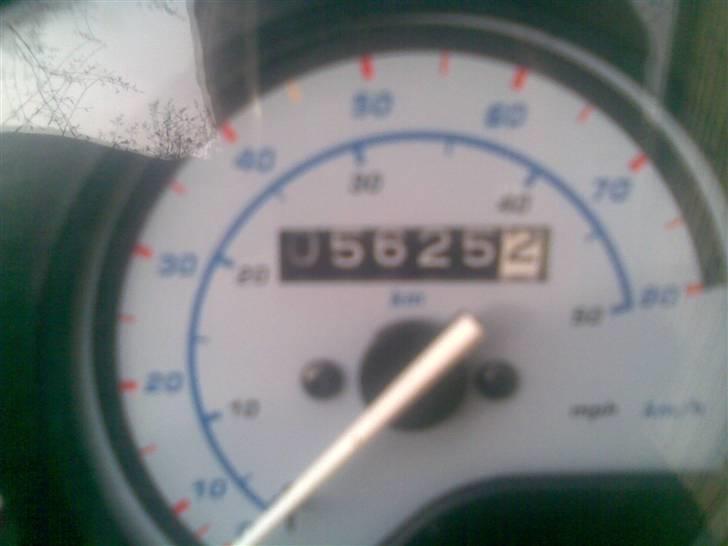 Aprilia Rally Projekt billede 3