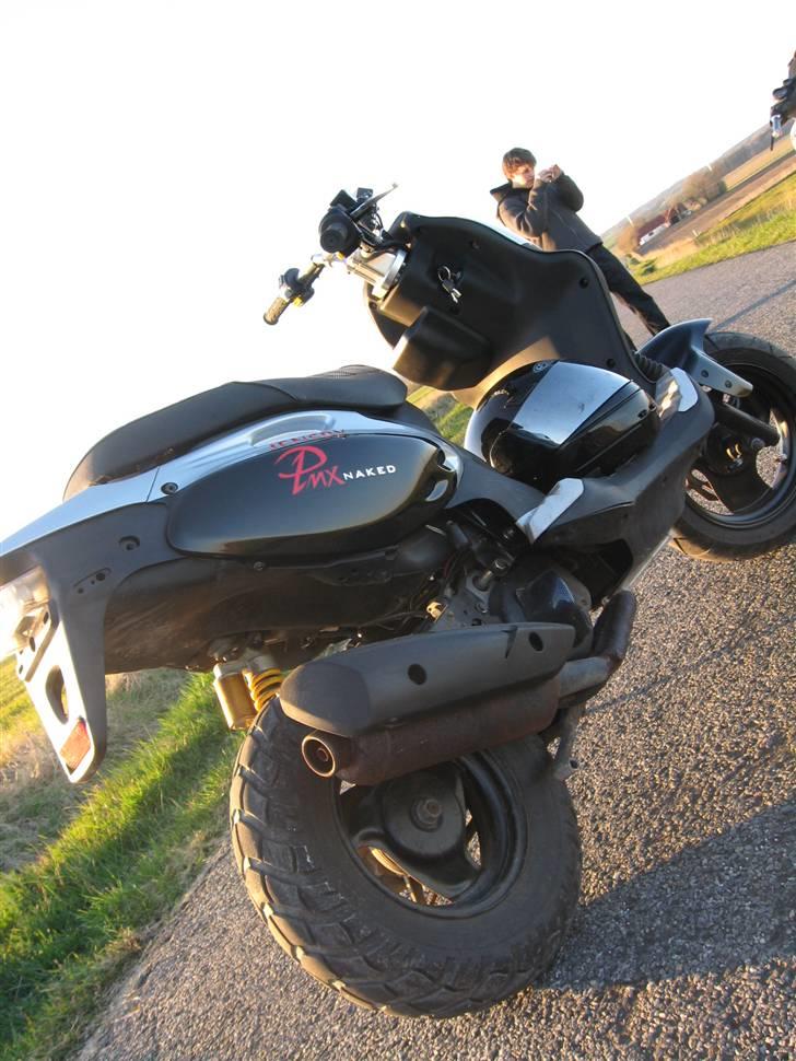 PGO pmx naked sommerbilleder billede 5