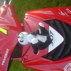 Peugeot speedfight 307 {solgt}