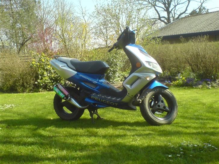 Peugeot Speedfight 2 STJÅLET! - Alugitter i midterste og forreste sideskjolde. billede 10