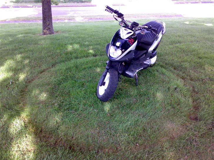 PGO PMX Naked SOLGT - "Blommevej" billede 9