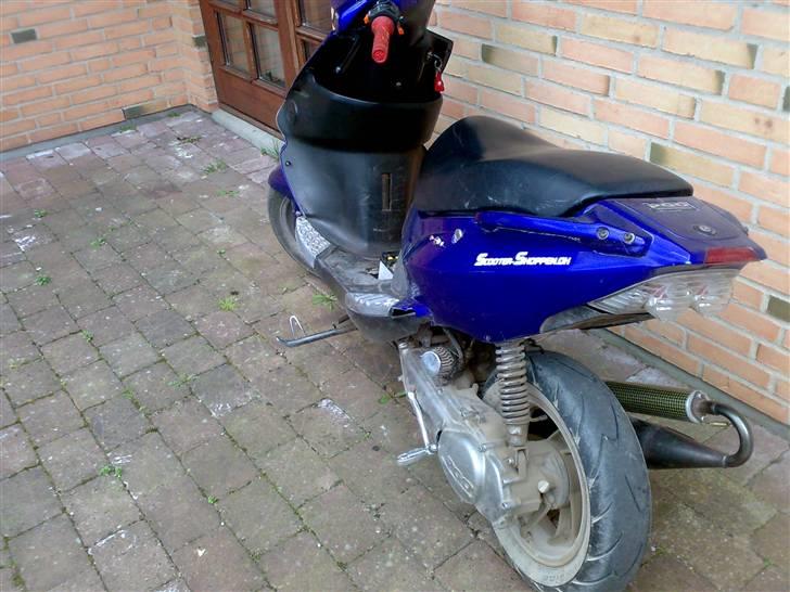 PGO dr.big billede 12