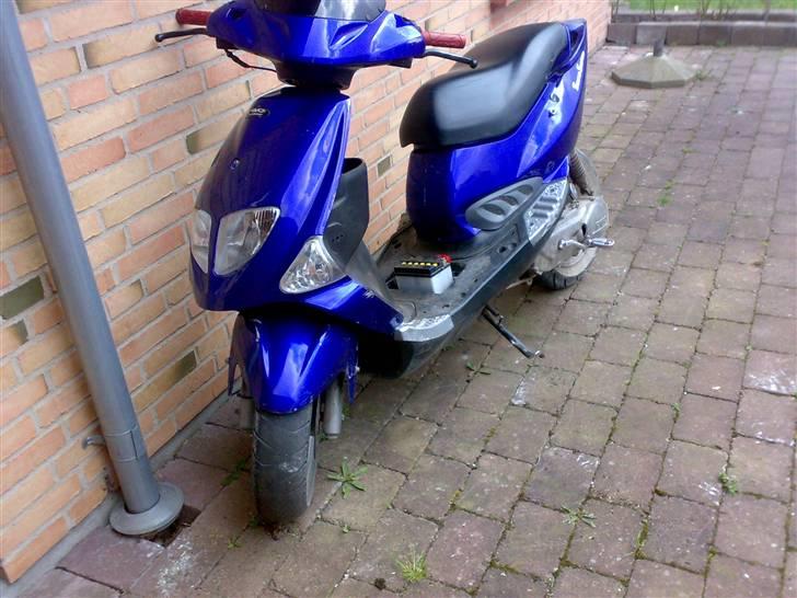 PGO dr.big billede 13