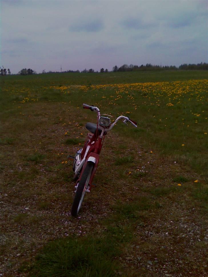 Vespa Ciao (projekt) SOLGT - Her er den så forfra.. billede 2