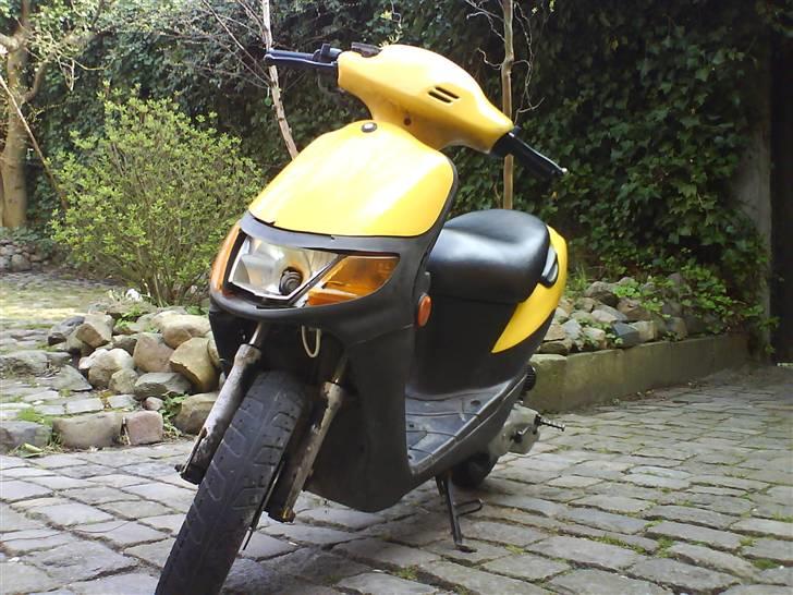 Siamoto Birdie billede 2