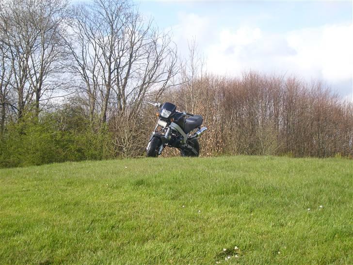 Skyteam pbr 125 nice solgt billede 7