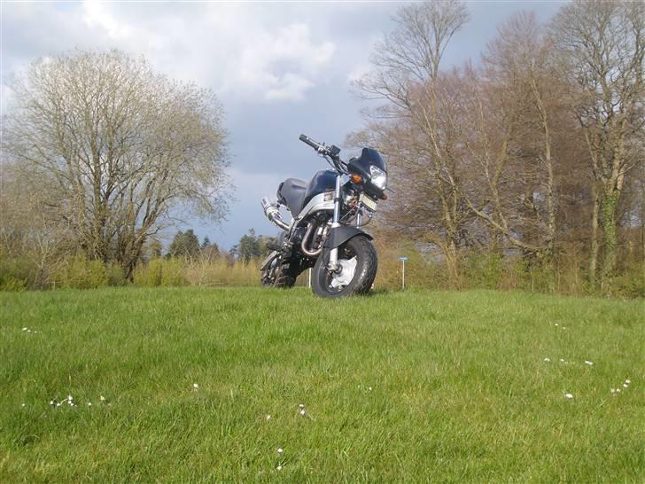 Skyteam pbr 125 nice solgt billede 8