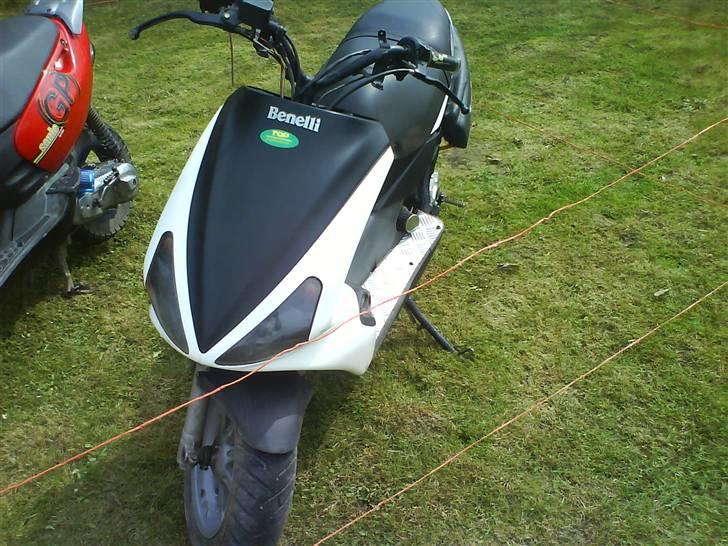 Benelli 491 billede 1