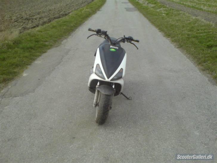 Benelli 491 billede 2