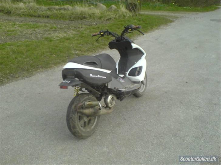 Benelli 491 billede 4