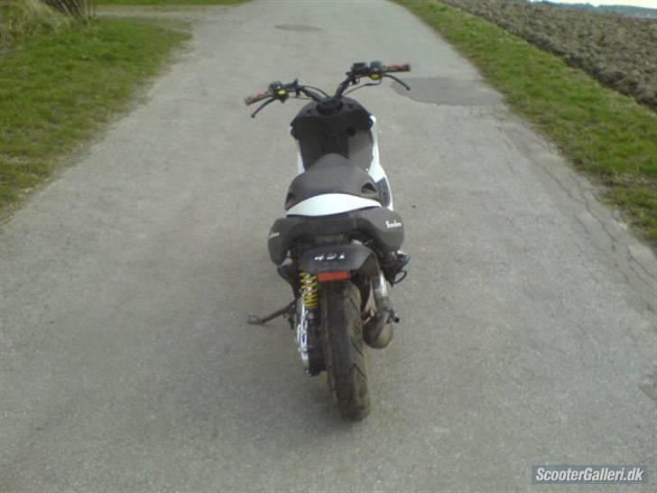 Benelli 491 billede 5