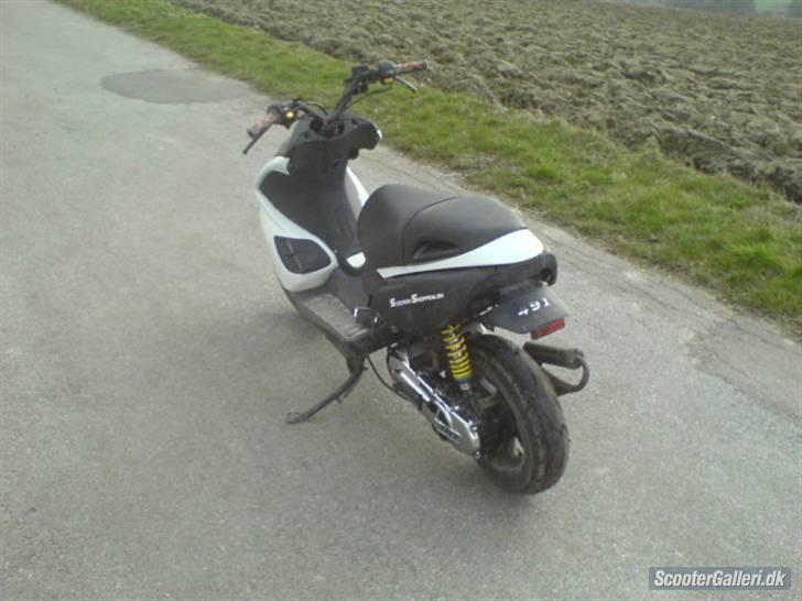 Benelli 491 billede 6