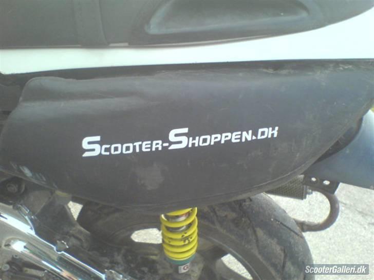 Benelli 491 billede 8