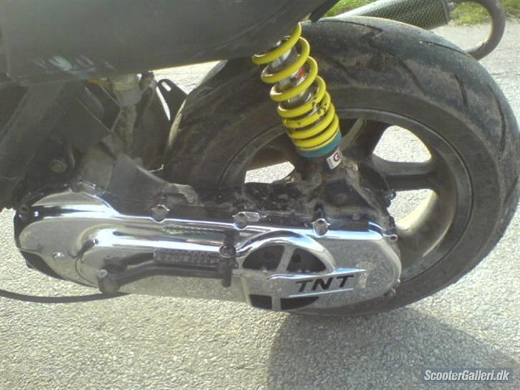 Benelli 491 billede 9