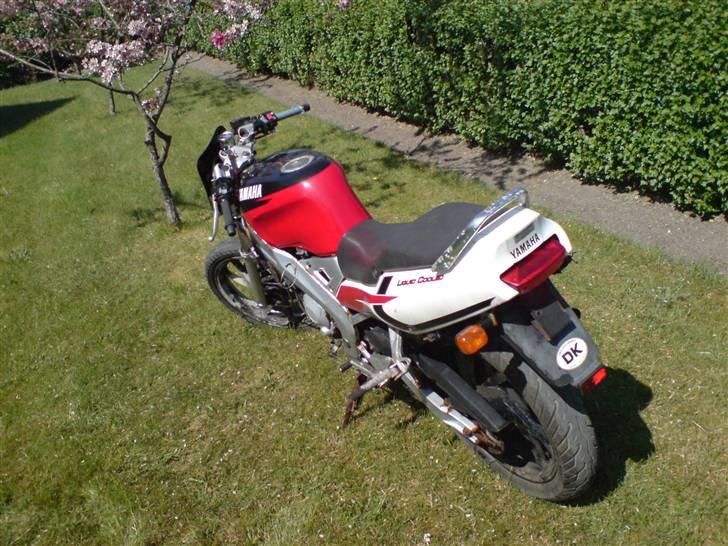 Yamaha Viborg politi :( billede 2