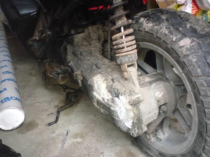 Benelli 491 byttet til melody billede 5