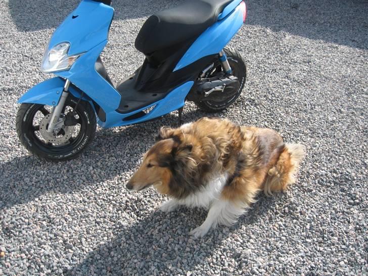 Yamaha Jog R Solgt billede 11