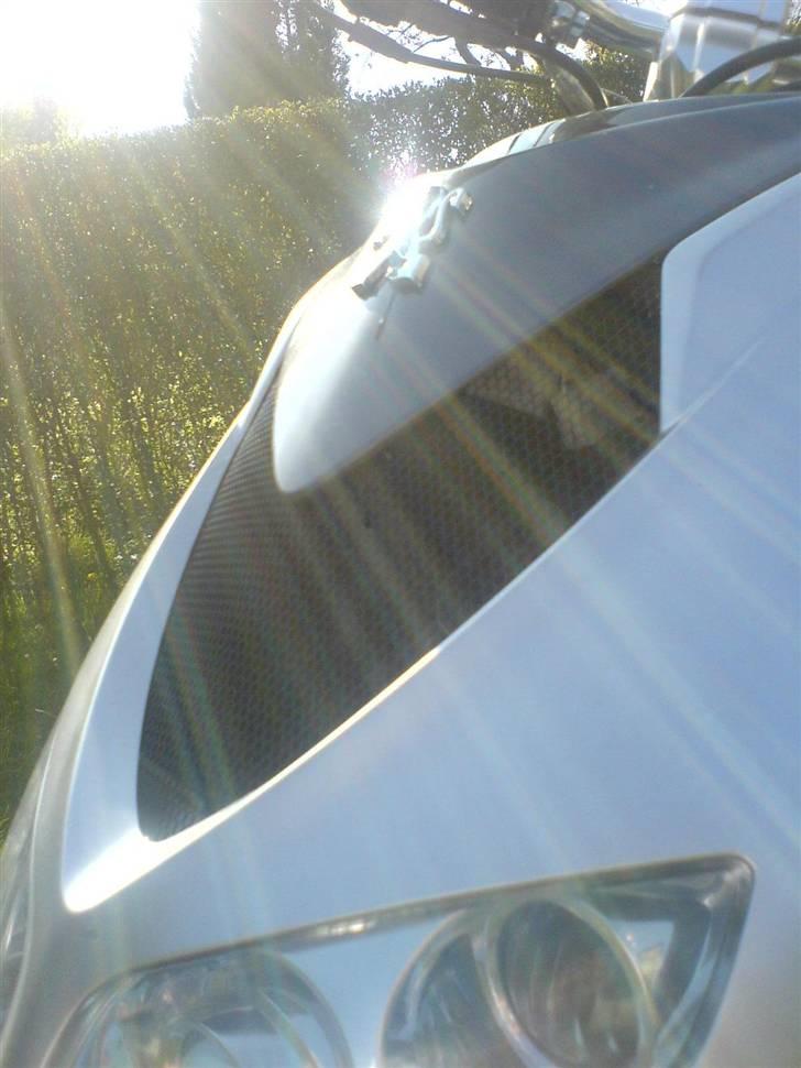 Peugeot speedfight 2 BYTTET - Frontgitter billede 5