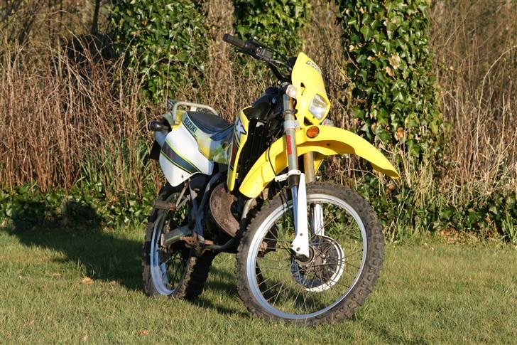 Suzuki Rmx billede 13