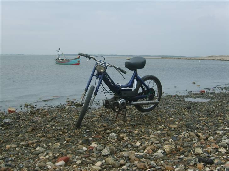 Puch Maxi k SOLGT! - Før billede 1