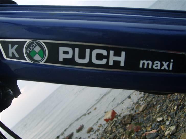 Puch Maxi k SOLGT! - Før billede 5