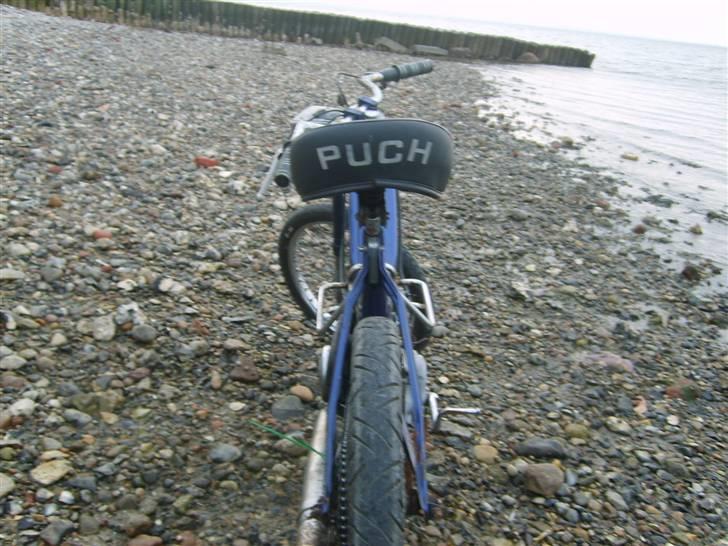 Puch Maxi k SOLGT! - Før billede 6