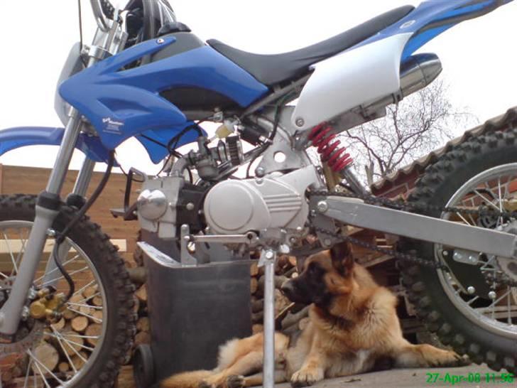 MiniBike FULL SIZE BYTTET - Monty :) billede 7