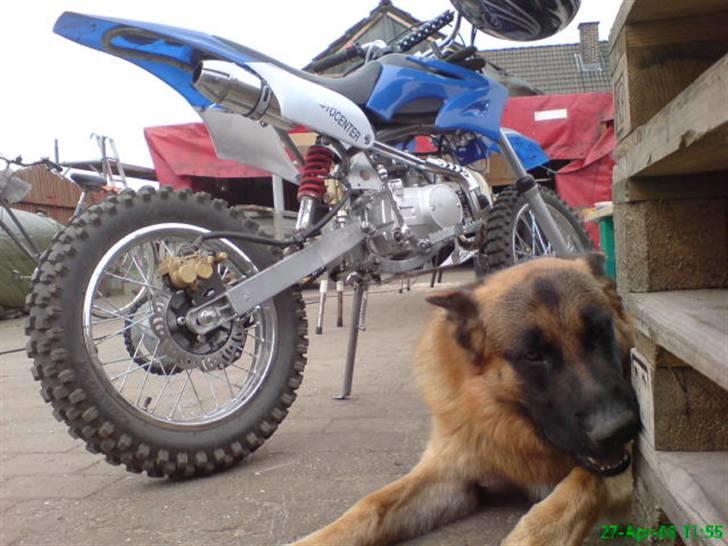 MiniBike FULL SIZE BYTTET - Monty :) billede 8