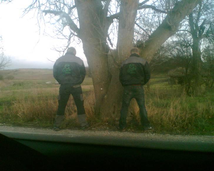 Suzuki fz 50 (gidet til min bror billede 5