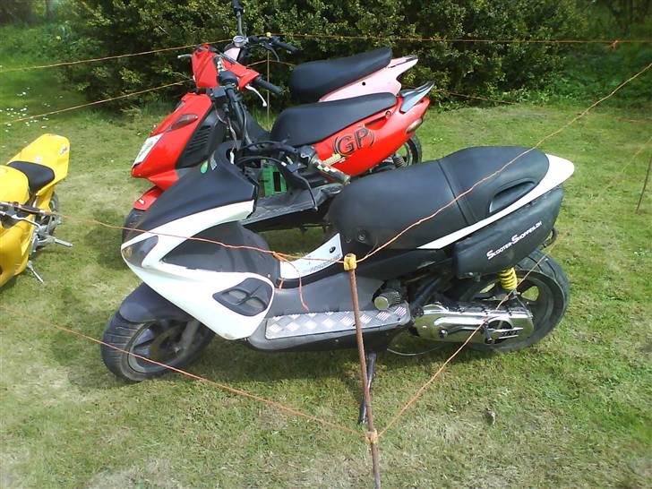 Benelli 491 billede 11