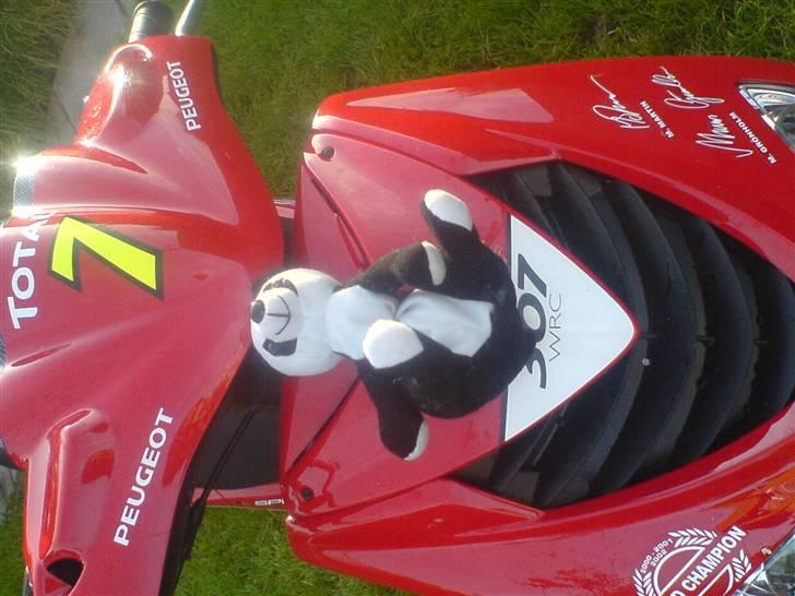 Peugeot speedfight 307 {solgt} billede 2