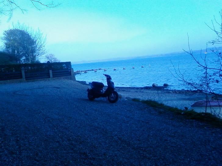 PGO hot 50  ( Solg 6.000kr ) billede 7