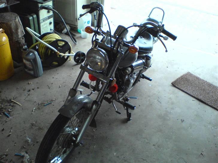 Regal Raptor billede 1