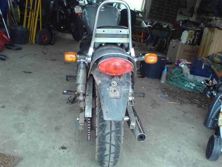 Regal Raptor billede 2