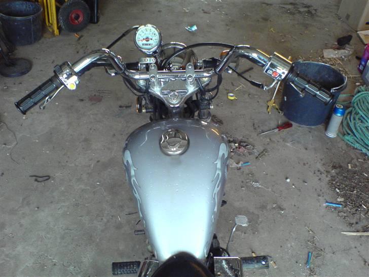 Regal Raptor billede 3