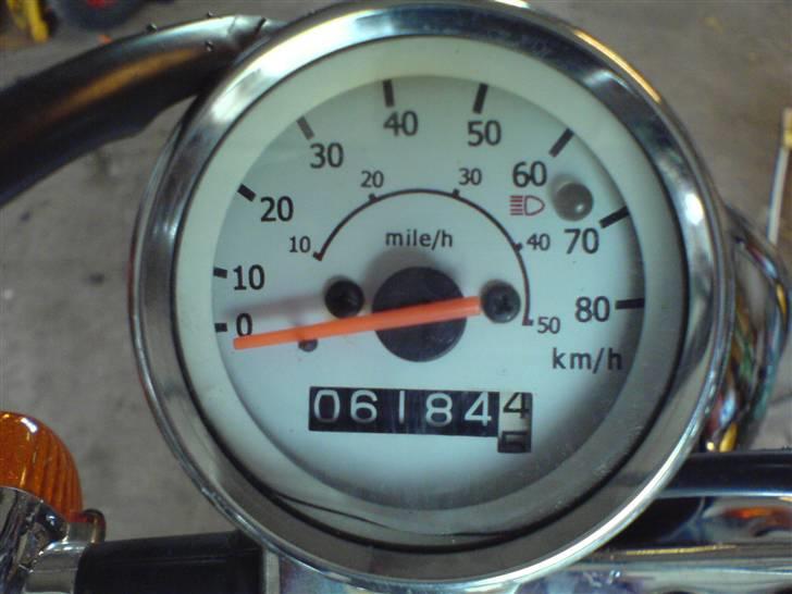 Regal Raptor billede 4