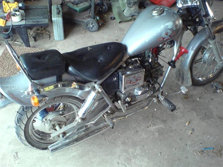 Regal Raptor billede 5