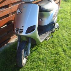 Piaggio Zip - MSH