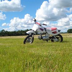 MiniBike 70ccm blueberry 