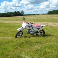 MiniBike 70ccm blueberry 