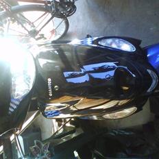 Giantco Sprint *byttet*