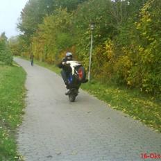 Gilera Stalker [perlemor]  90%