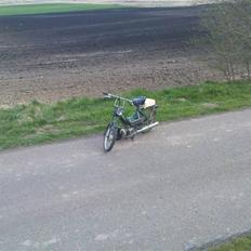 Puch Maxi K Før..