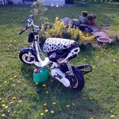 Aprilia Sonic LCE evo2 **SOLGT**
