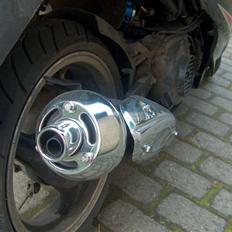 Giantco sprint sport