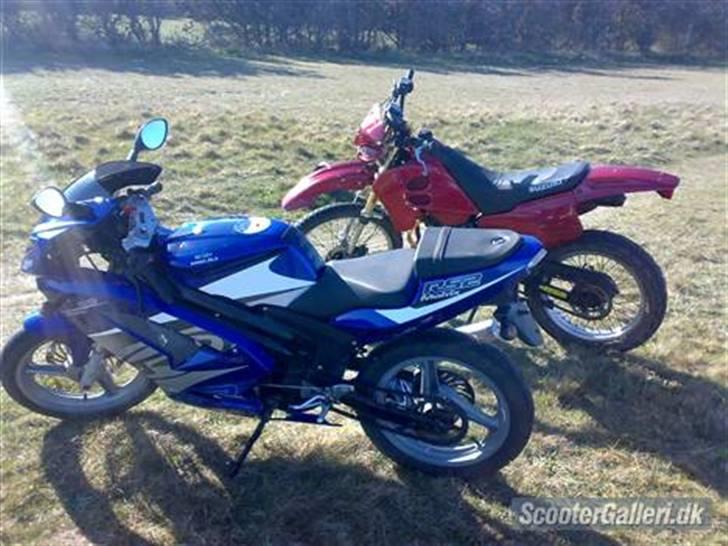 Suzuki RMX  --> SOLGT billede 5